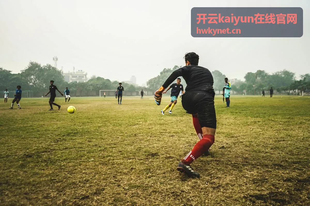 开云kaiyun在线官网首次访问前的准备清单示意